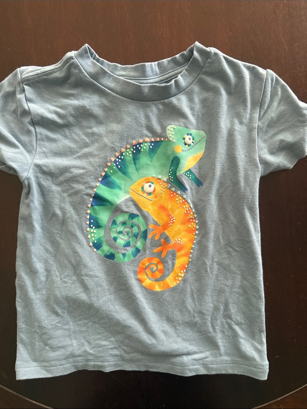 Little Sleepies Light Blue Tee with Green and Orange Chameleons